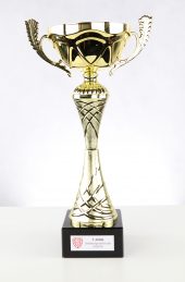 2015-16 - starší žáci - 1 místo 2015-16 - starší žáci - 1 místo