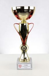 2016-17 - starší žáci - 2 místo 2016-17 - starší žáci - 2 místo